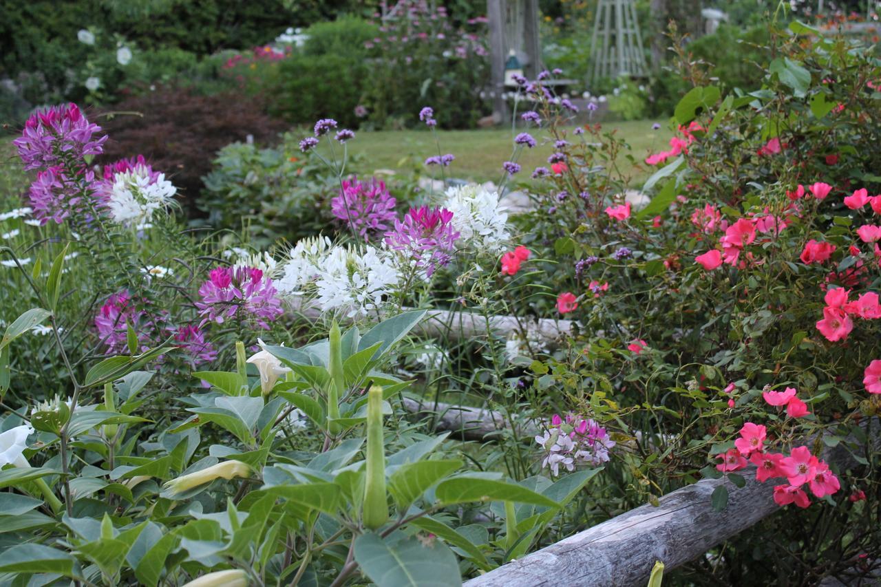 Lavender Bay Bed & Breakfast Barnstable Exterior photo