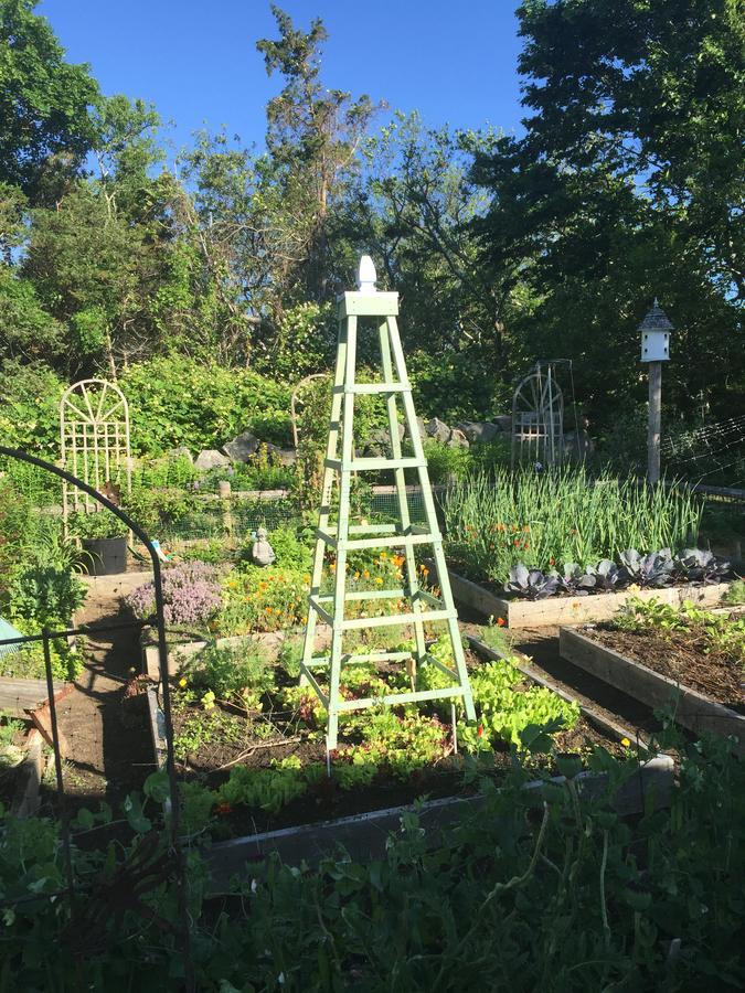 Lavender Bay Bed & Breakfast Barnstable Exterior photo
